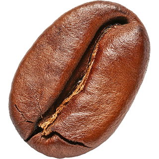 Java coffee absolue