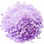 Lavender sugar