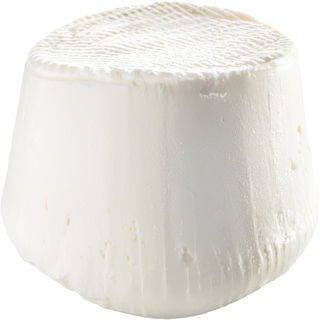 Ricotta