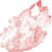 Pink musk