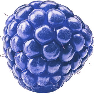 Blue raspberry