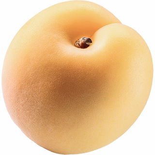 White apricot