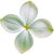 Green lilac