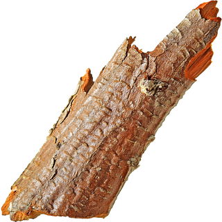 Chinarinde