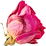 Rose tea