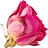 Rosentee