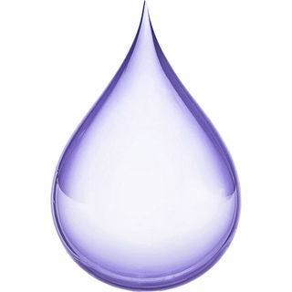 Plum syrup
