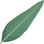 Eucalyptus