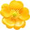 Buttercup