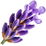 Lavendel