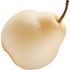 Nashi pear