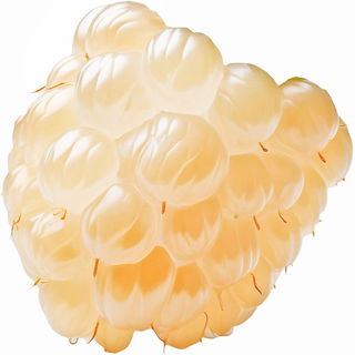 White raspberry