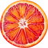Red mandarin orange