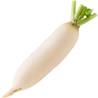Japanese radish