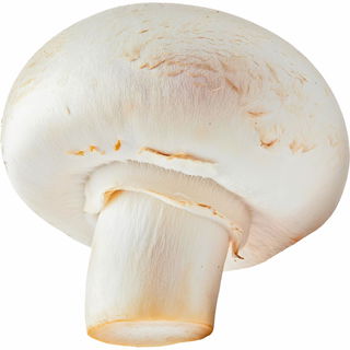 Button mushroom