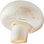 Button mushroom