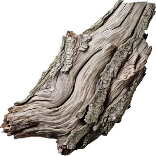 Sandelholzrinde