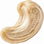 Cashew nut