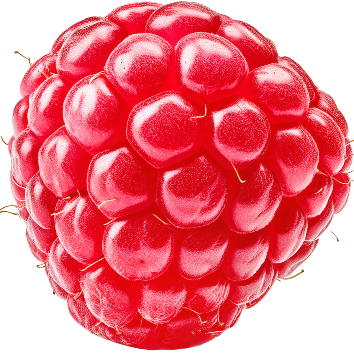 Himbeere