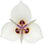 Calochortus