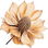 getrocknete Wildblumen