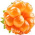 Norwegian cloudberry