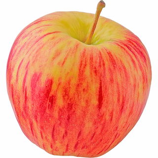 Honeycrisp apple