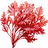 Red kelp
