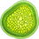 Chlorophyll