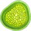 Chlorophyll