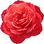 Hot Cocoa rose