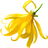 Ylang-ylang