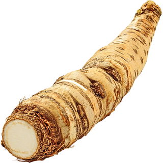 Horseradish