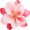Oriental blossoms