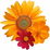 Sommerblumen
