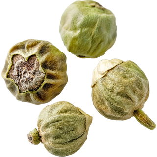 grüner Pfeffer Absolue
