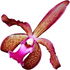 Cattleya leopoldii
