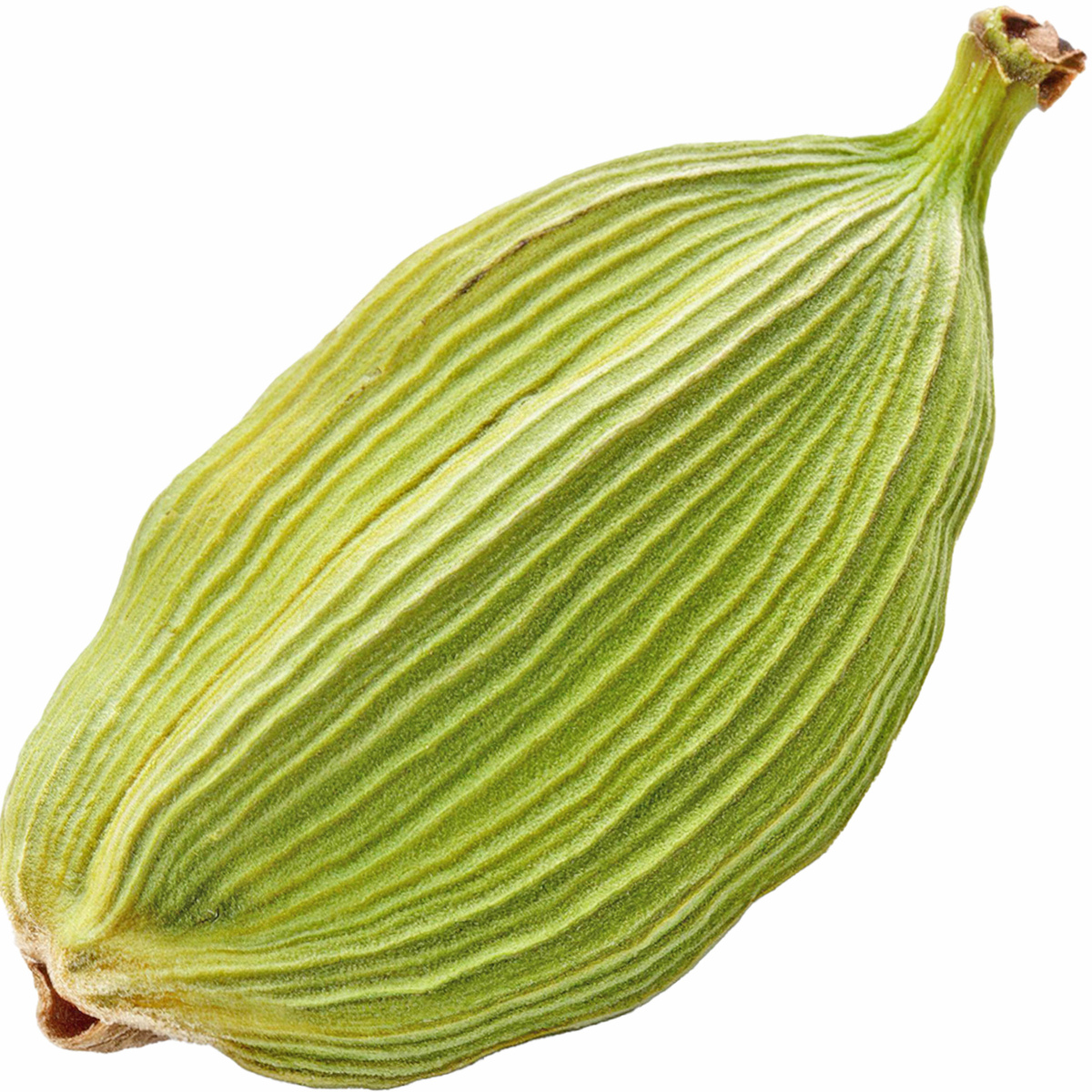 Kardamom