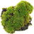Moss