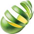 Green mango skin