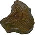 feuchtes Holz
