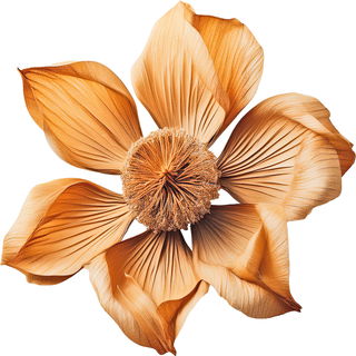 Dried blossoms