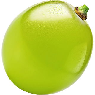 Cognac grape