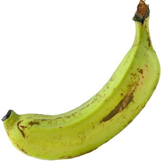 Kochbanane