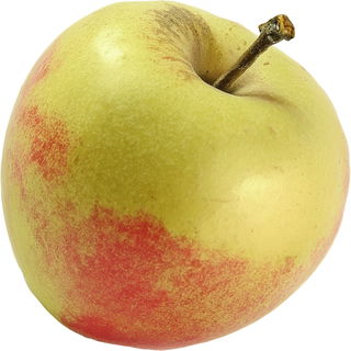 Shizuka apple