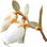 Leatherleaf