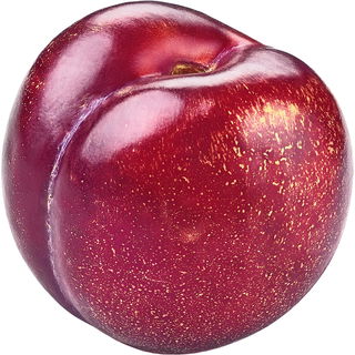 Plumcot