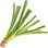 Calamus