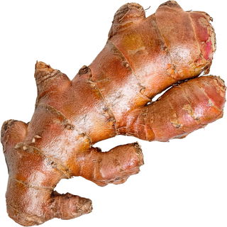 Gewürzlilie