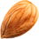 Apricot kernel